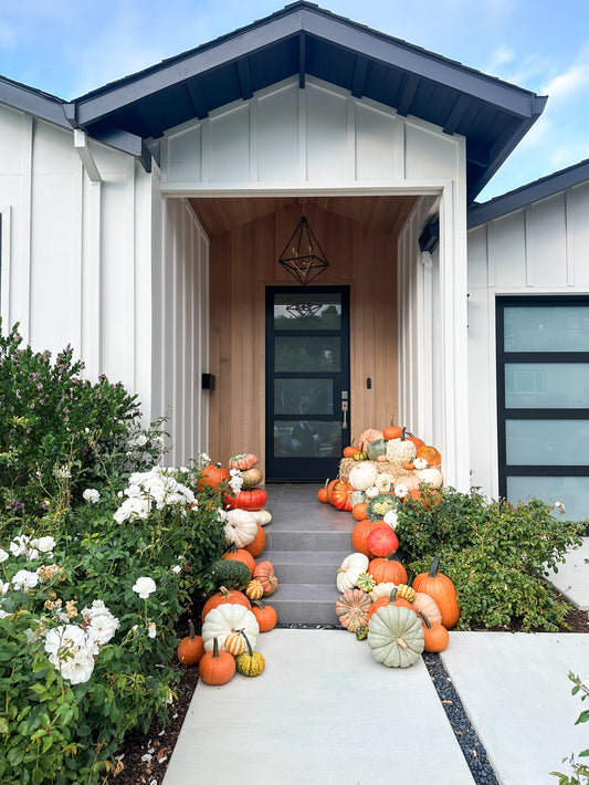 Design + Pick up Add On