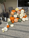 Custom Pumpkin Package