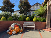 Custom Pumpkin Package