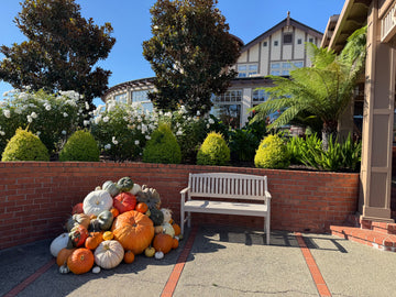 Custom Pumpkin Package