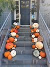 Harvest Pumpkin Porch- Package 3