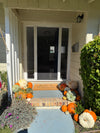 Classic Pumpkin Porch- Package 4