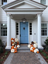 Custom Pumpkin Package